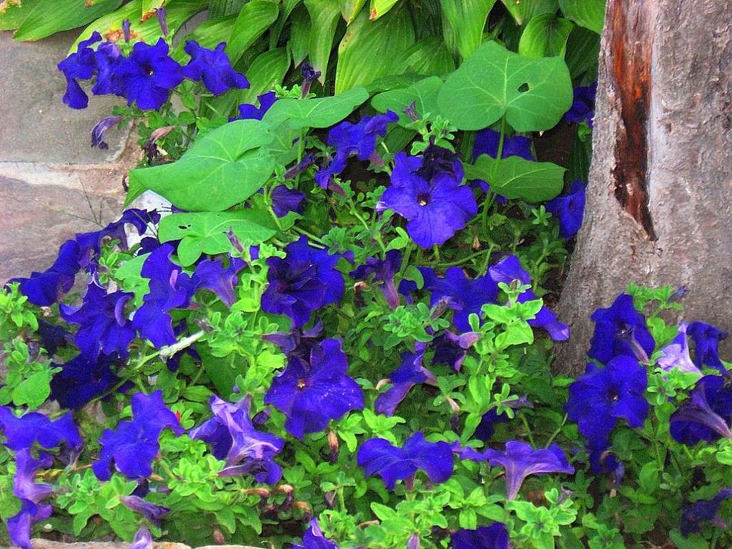 ... ����� Natali  ��������� �� PhotoGeek.ru #������ ��� ������� #����� ��������������