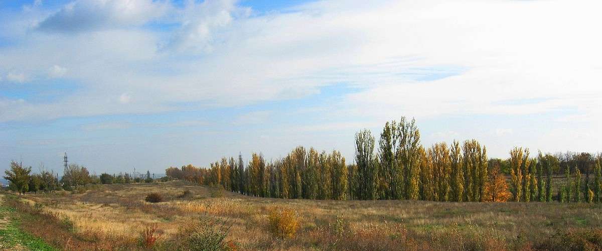 ������� ���������� ����� Natali  ��������� �� PhotoGeek.ru #������ ��� ������� #����� ��������������