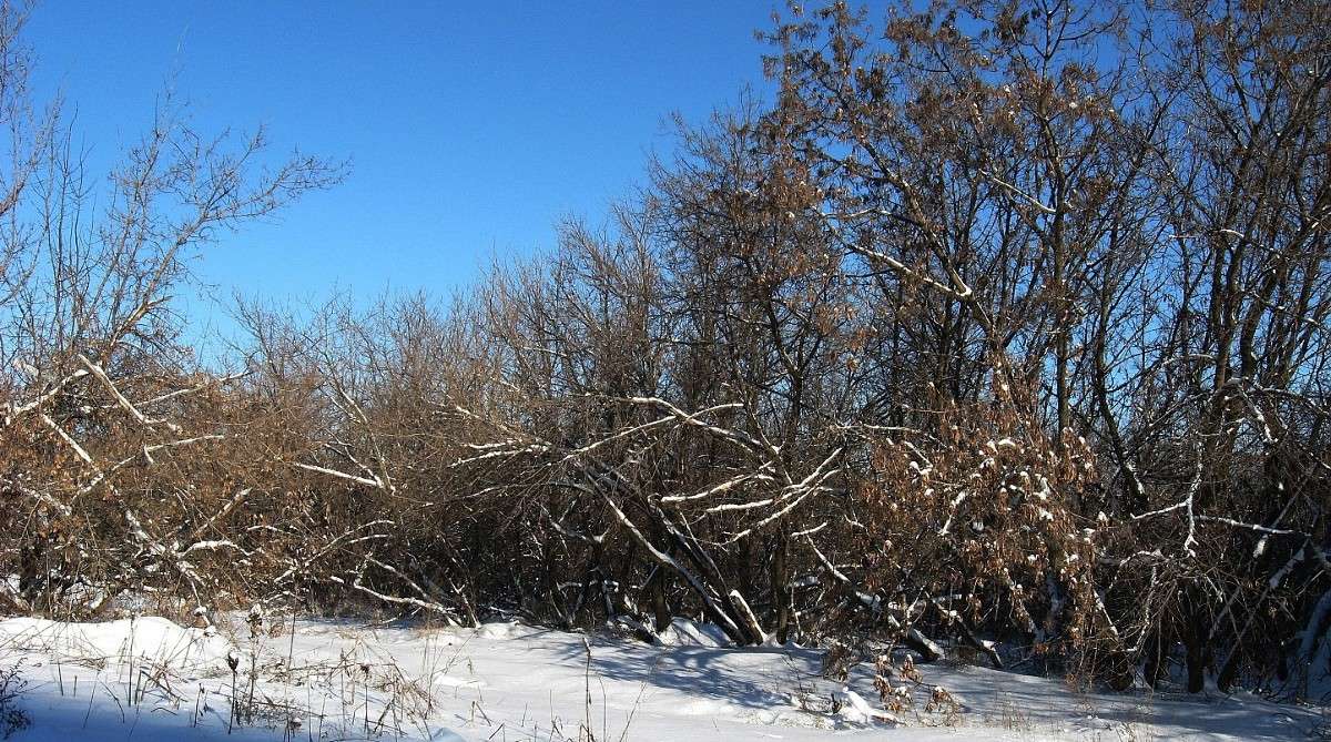 ... ����� Natali  ��������� �� PhotoGeek.ru #������ ��� ������� #����� ��������������