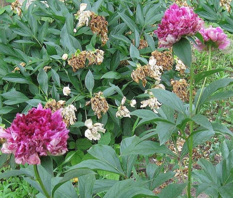 ����� ������ ���������.... ����� Natali  ��������� �� PhotoGeek.ru #������ ��� ������� #����� ��������������