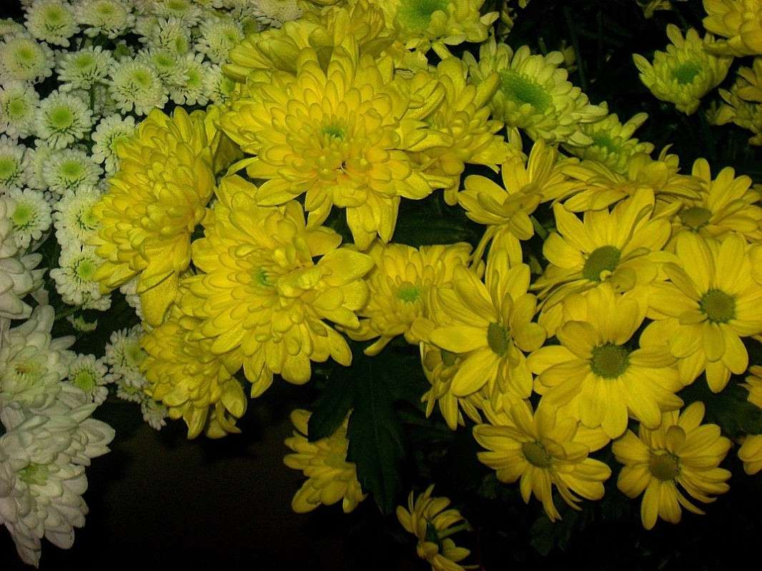 ����� ����� ����. ����� Natali  ��������� �� PhotoGeek.ru #������ ��� ������� #����� ��������������