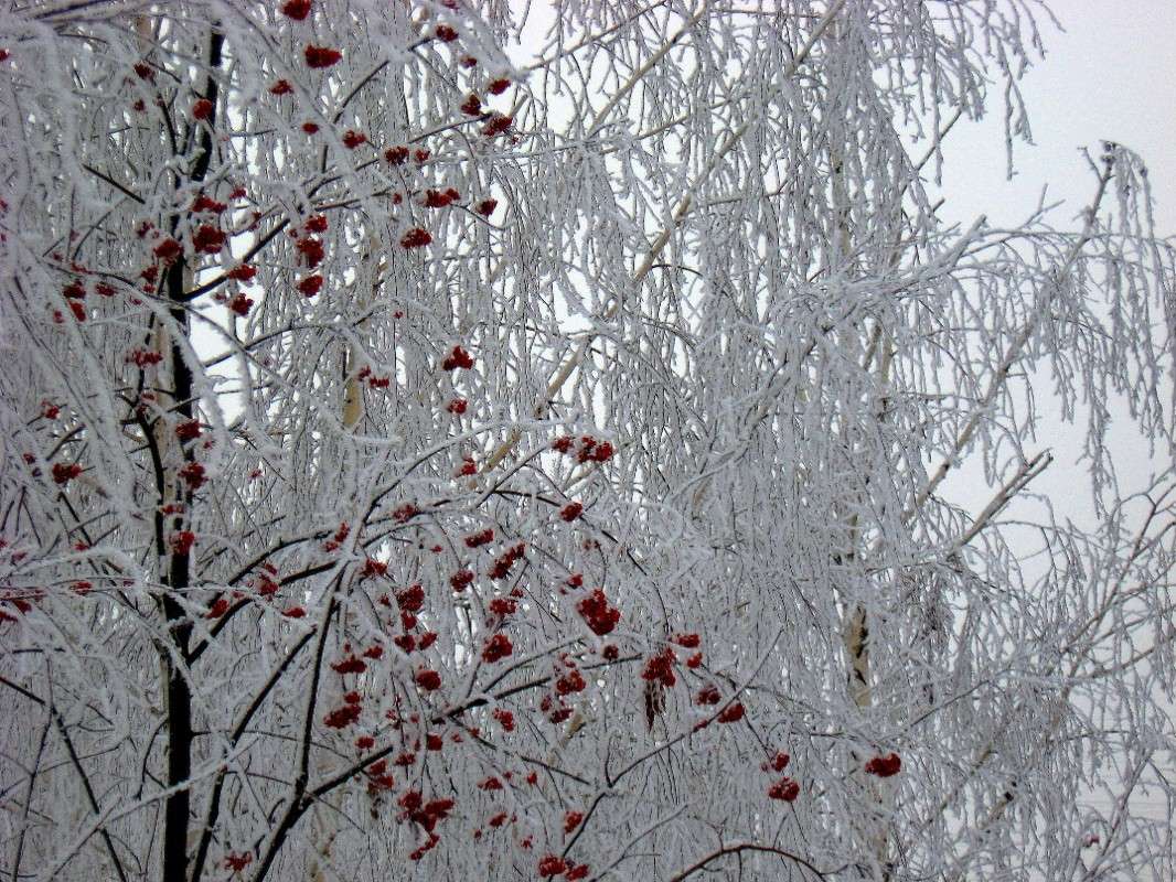 ... ����� Natali  ��������� �� PhotoGeek.ru #������ ��� ������� #����� ��������������