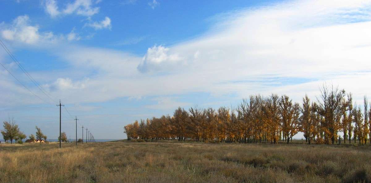 ... ����� Natali  ��������� �� PhotoGeek.ru #����� #������ ��� ������� #����� ��������������