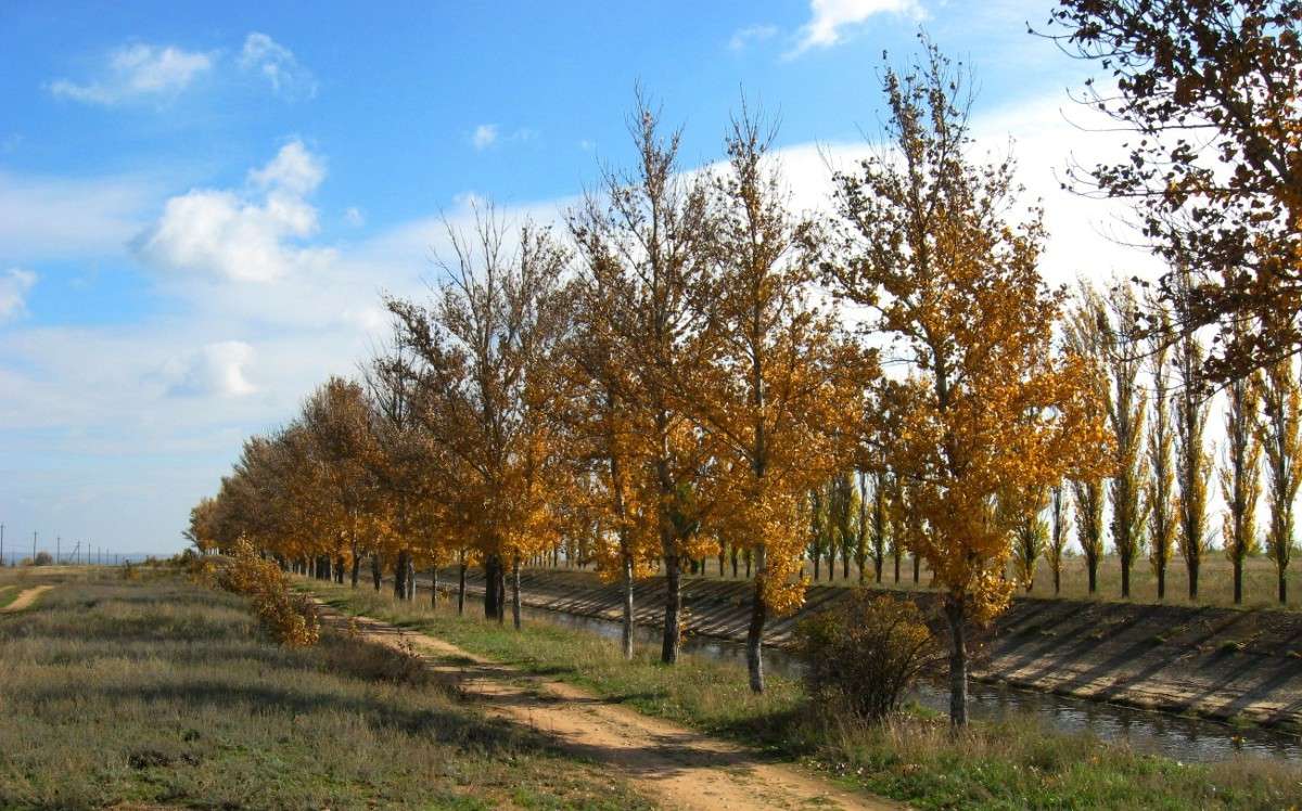 ... ����� Natali  ��������� �� PhotoGeek.ru #����� #������ ��� ������� #����� �������������� #����� ��������