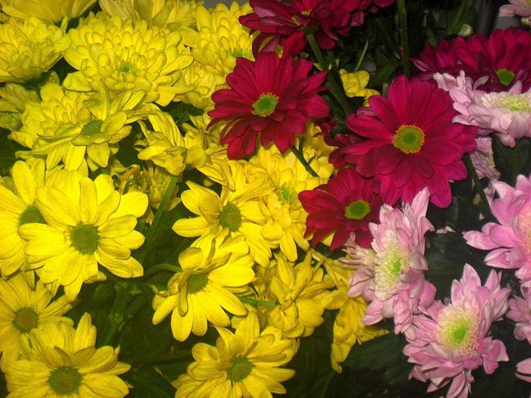 ... ����� Natali  ��������� �� PhotoGeek.ru #������ ��� ������� #����� ��������������