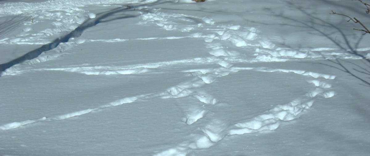 ... ����� Natali  ��������� �� PhotoGeek.ru #������ ��� �������