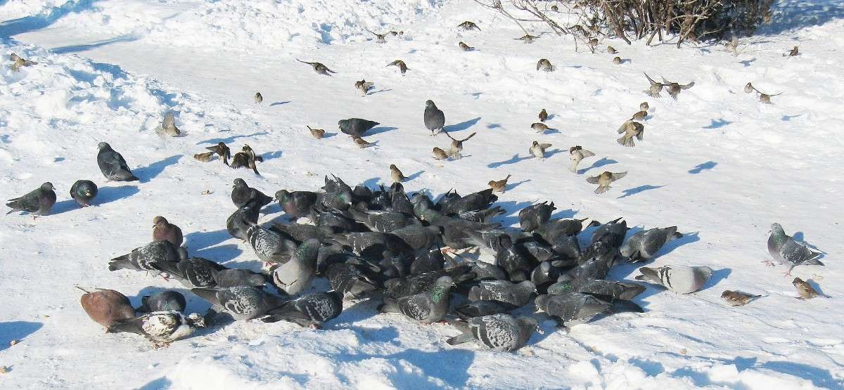 �����...) ����� Natali  ��������� �� PhotoGeek.ru #�������� ��� #����� ��� ��� ���������