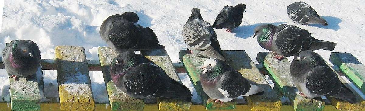 ���������. ����� Natali  ��������� �� PhotoGeek.ru #�������� ��� #����� ��� ��� ���������