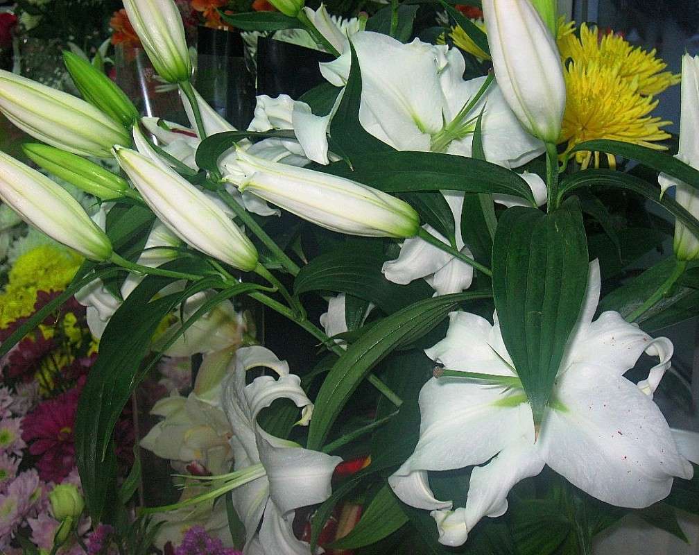 ... ����� Natali  ��������� �� PhotoGeek.ru #������ ��� ������� #����� ��������������