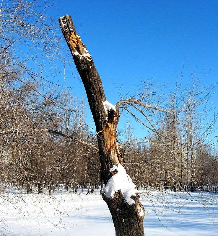 ������� � ����.... ����� Natali  ��������� �� PhotoGeek.ru #������ ��� ������� #����� ��������������