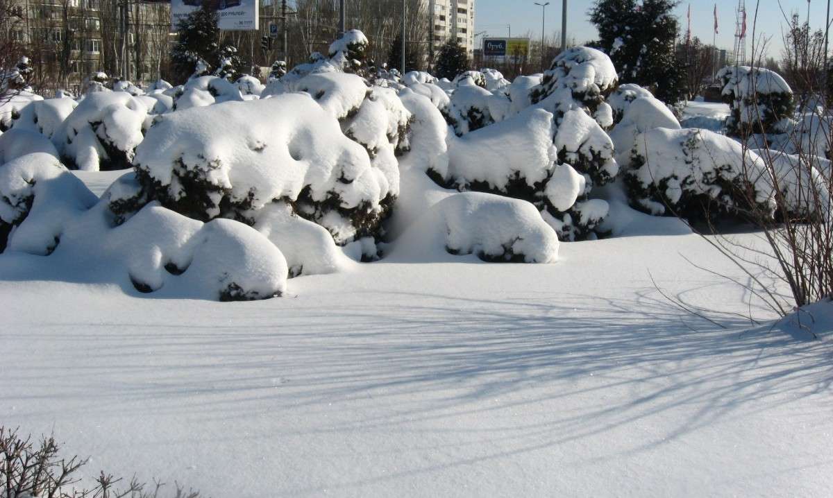 ... ����� Natali  ��������� �� PhotoGeek.ru #������ ��� ������� #����� ��������������