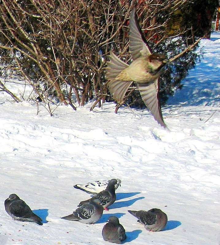 ����� ��������� ���������� ������� ...... ) ����� Natali  ��������� �� PhotoGeek.ru #�������� ��� #����� ��� ��� ���������