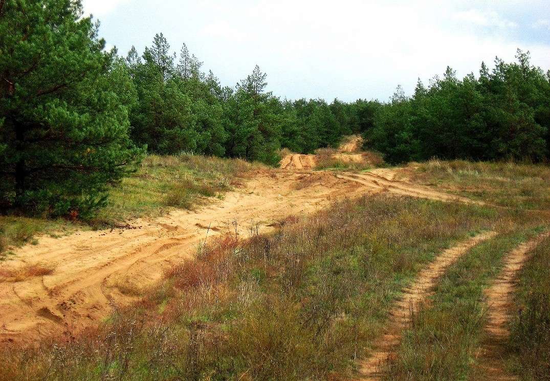 ����� � �����. ����� Natali  ��������� �� PhotoGeek.ru #������ ��� ������� #����� ��������������