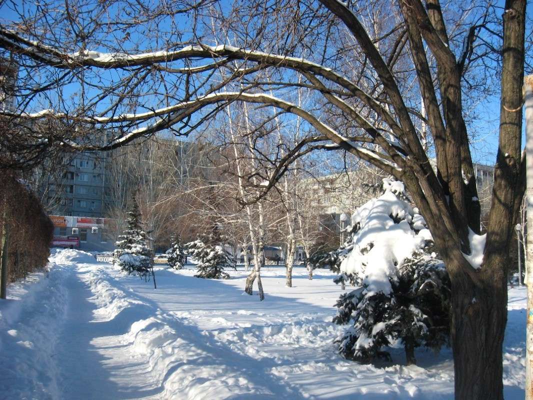 ������ ��������� ������ ... ����� Natali  ��������� �� PhotoGeek.ru #����� #��������� ������