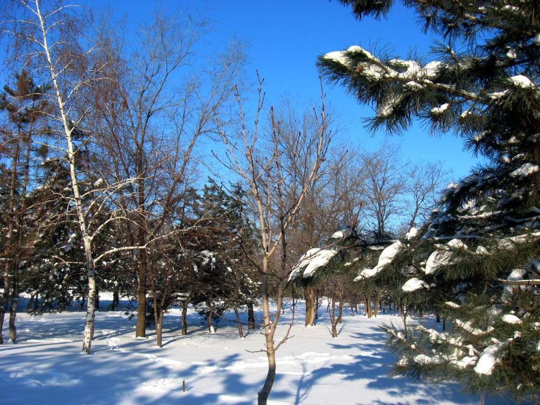 ����� � ������. ����� Natali  ��������� �� PhotoGeek.ru #������ ��� ������� #����� ��������������