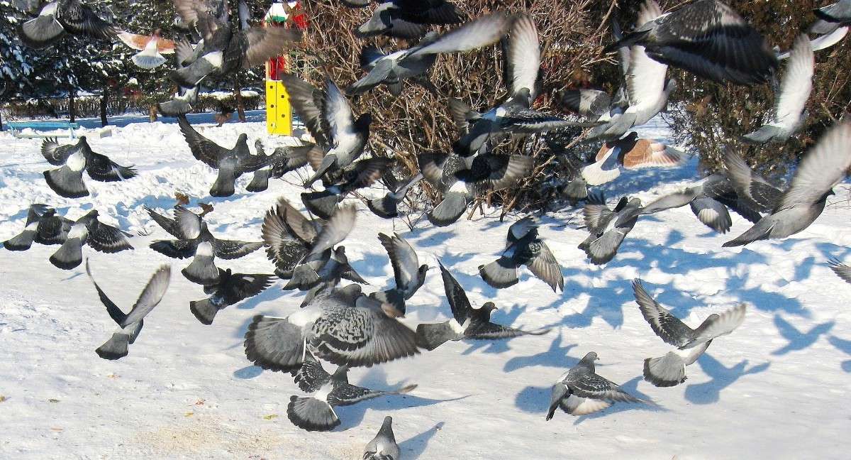 ���, �������� ! ...) ����� Natali  ��������� �� PhotoGeek.ru #�������� ��� #������ ��� ������� #����� ��� ��� ��������� #����� ��������