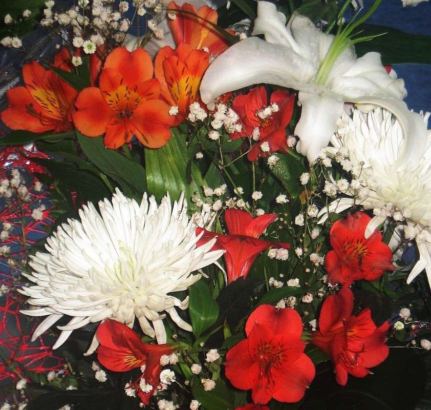 ... ����� Natali  ��������� �� PhotoGeek.ru #������ ��� ������� #����� ��������������