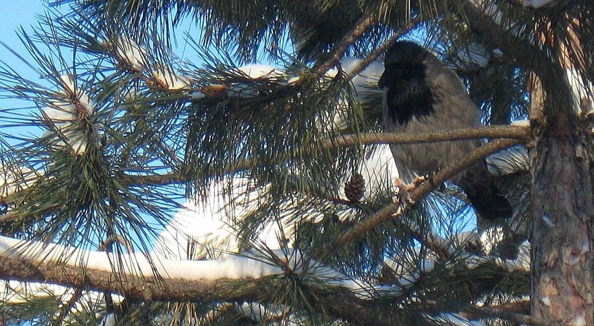 ����� ������ ����� Natali  ��������� �� PhotoGeek.ru #�������� ��� #������ ��� ������� #����� ��������������