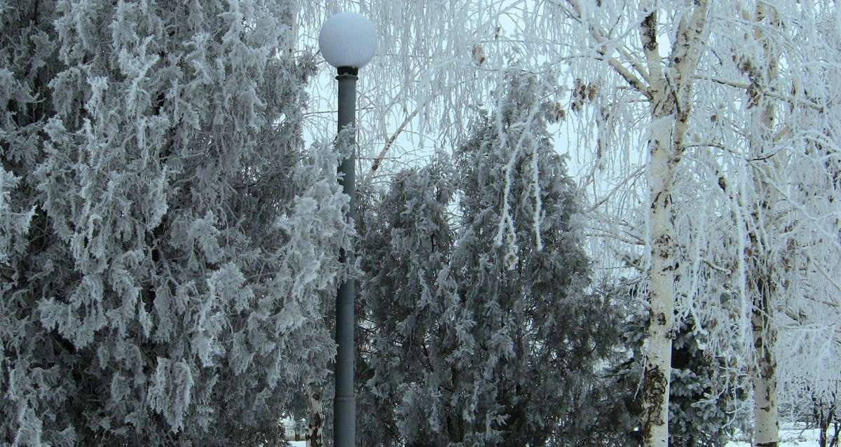 �����������������. ����. ����� Natali  ��������� �� PhotoGeek.ru #������ ��� ������� #����� ��������������