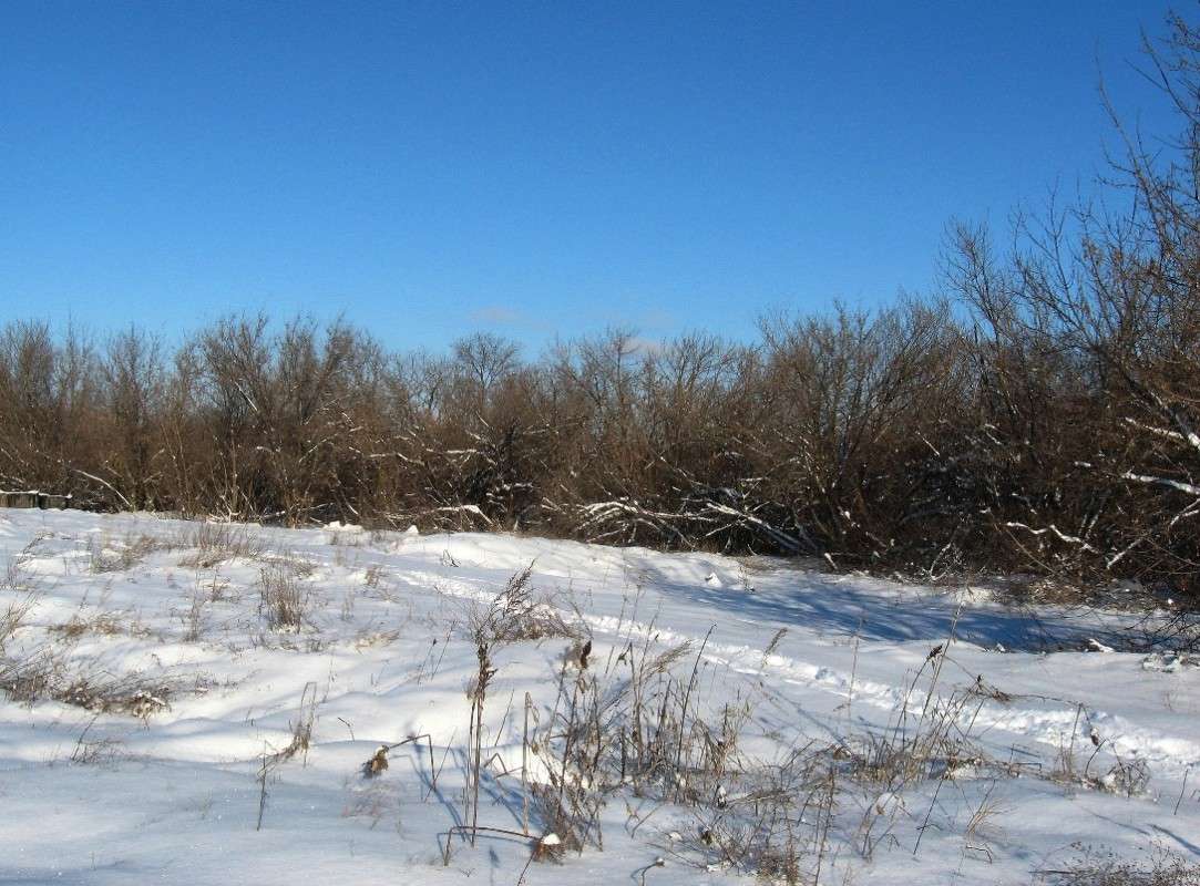 ... ����� Natali  ��������� �� PhotoGeek.ru #������ ��� ������� #����� ��������������