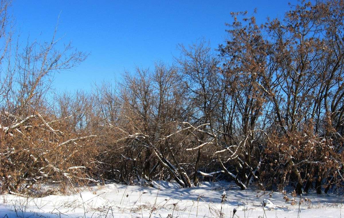 ... ����� Natali  ��������� �� PhotoGeek.ru #������ ��� �������