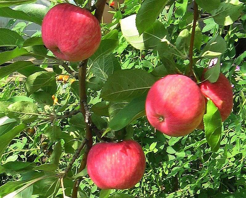 ... ����� Natali  ��������� �� PhotoGeek.ru #������ ��� ������� #����� ��������������