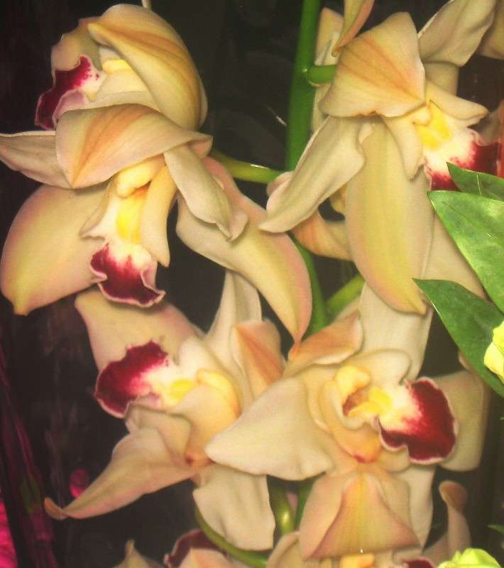 ������  ���������� ������.... ����� Natali  ��������� �� PhotoGeek.ru #������ ��� ������� #����� ��������������