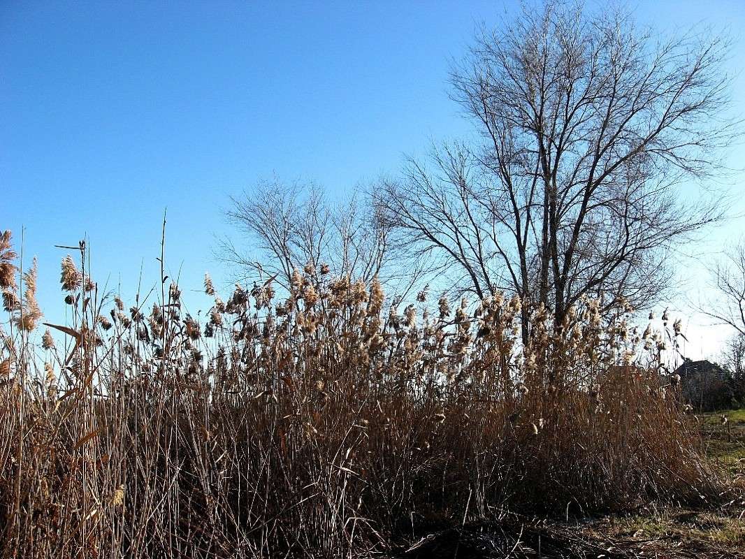 ... ����� Natali  ��������� �� PhotoGeek.ru #������ ��� ������� #����� ��������������