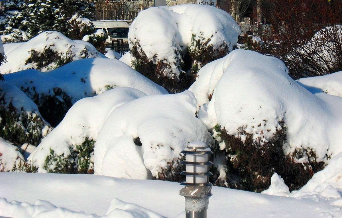 �  �� �������� ��������� ...))) ����� Natali  ��������� �� PhotoGeek.ru #������ ��� ������� #����� ��������������