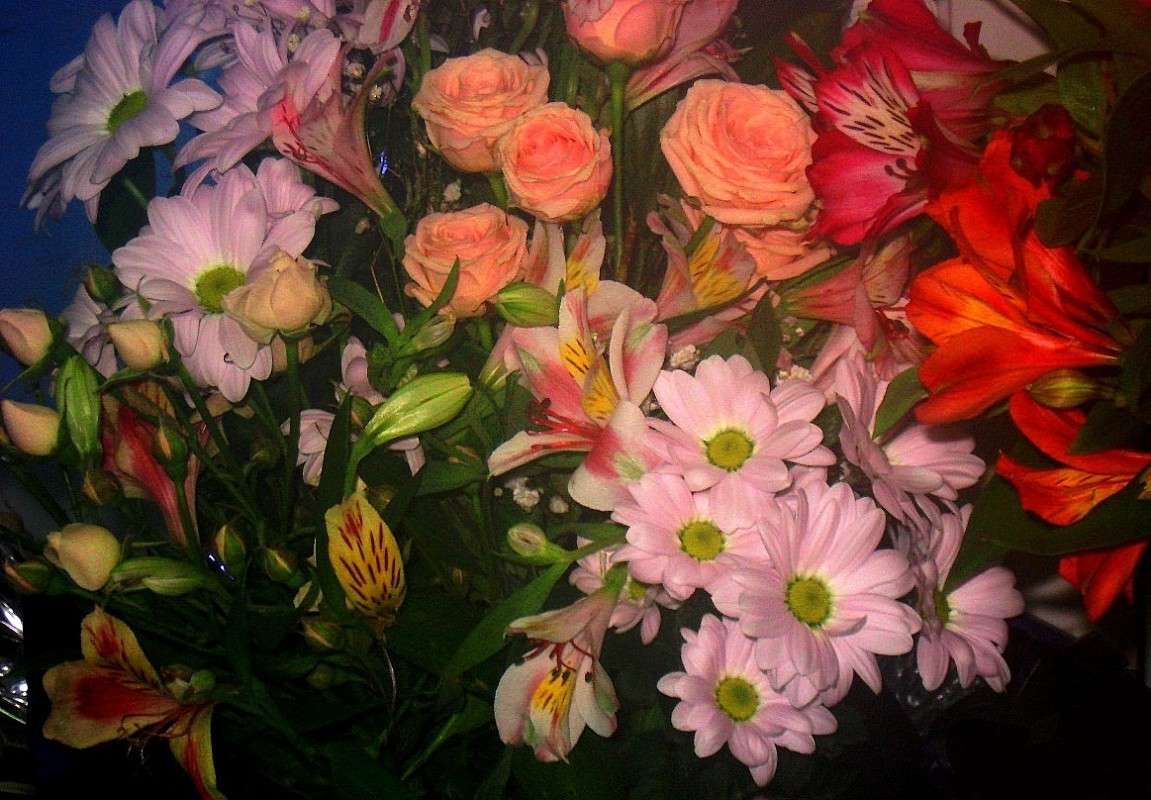 ... ����� Natali  ��������� �� PhotoGeek.ru #������ ��� ������� #����� ��������������