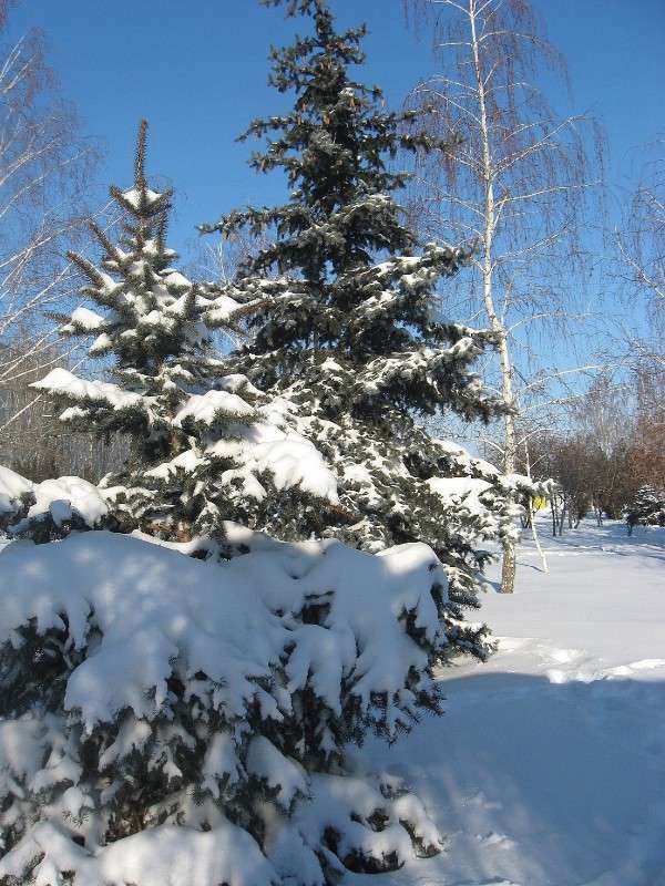 ... ����� Natali  ��������� �� PhotoGeek.ru #������ ��� ������� #����� ��������������