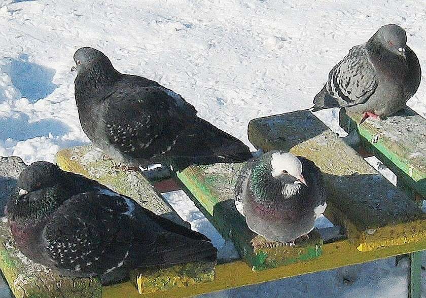 � ��������... ))) ����� Natali  ��������� �� PhotoGeek.ru #�������� ��� #����� ��� ��� ���������