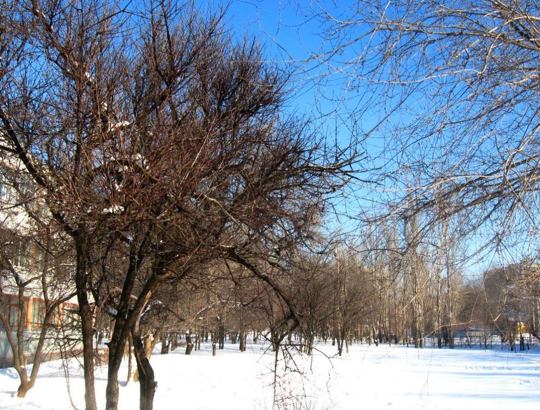 ... ����� Natali  ��������� �� PhotoGeek.ru #������ ��� ������� #����� ��������������