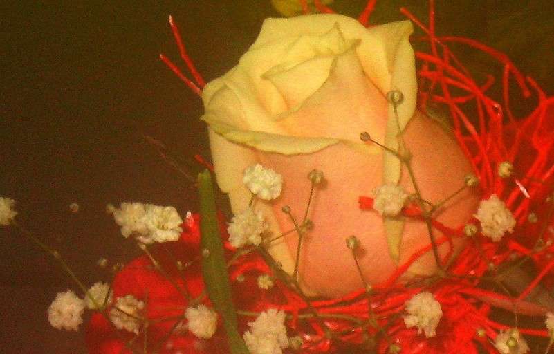 ... ����� Natali  ��������� �� PhotoGeek.ru #������ ��� ������� #����� ��������������