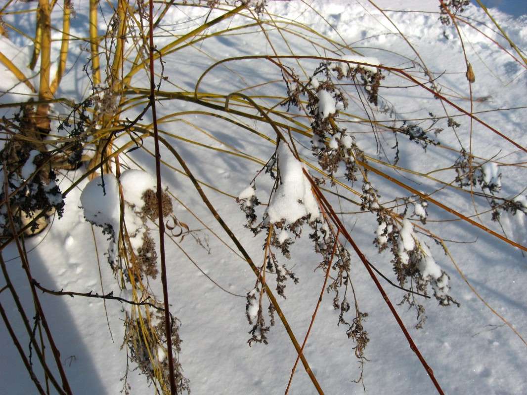 ... ����� Natali  ��������� �� PhotoGeek.ru #������ ��� ������� #����� ��������������