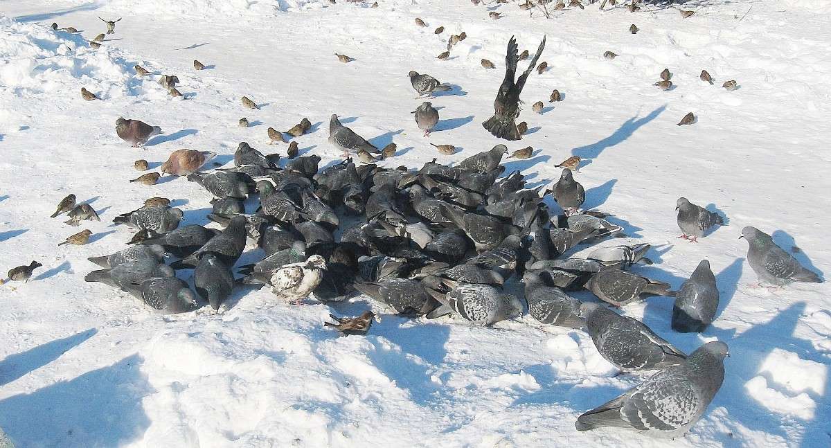 ���������..... ����� Natali  ��������� �� PhotoGeek.ru #�������� ���