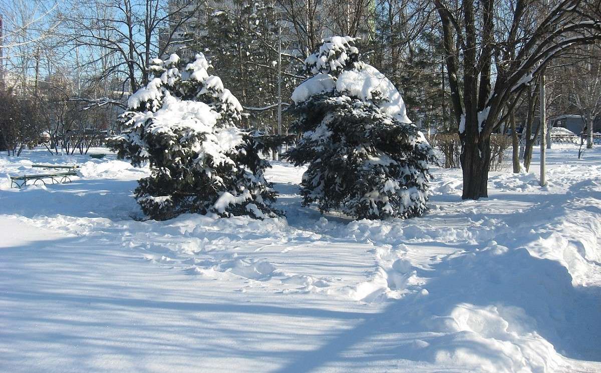 ������,..... ���� �� ������.....! )) ����� Natali  ��������� �� PhotoGeek.ru #����� #������ ��� ������� #��������� ������ #����� ��������������