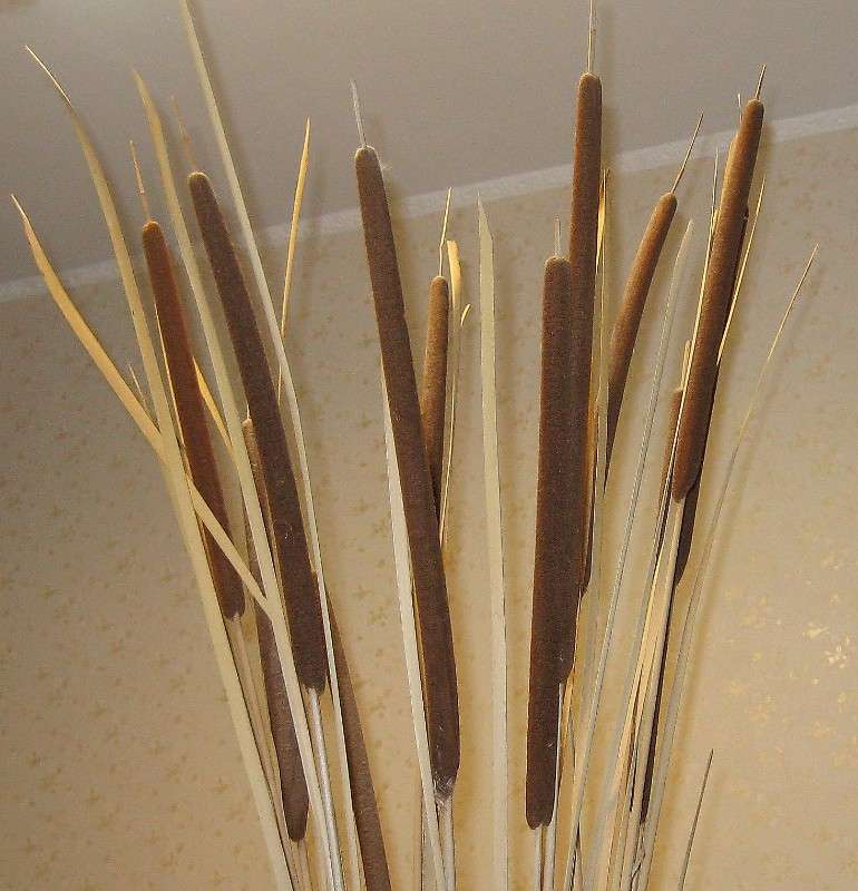 �����  ��������..... ))) ����� Natali  ��������� �� PhotoGeek.ru #������ ��� ������� #����� ��������������