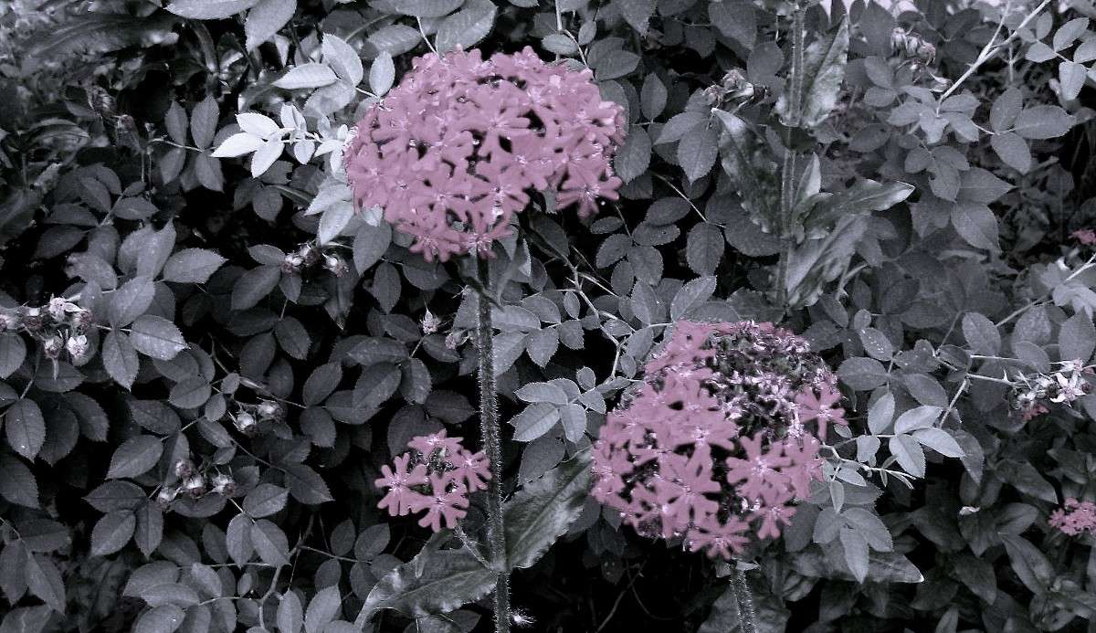 ... ����� Natali  ��������� �� PhotoGeek.ru #������ ��� ������� #����� ��������������