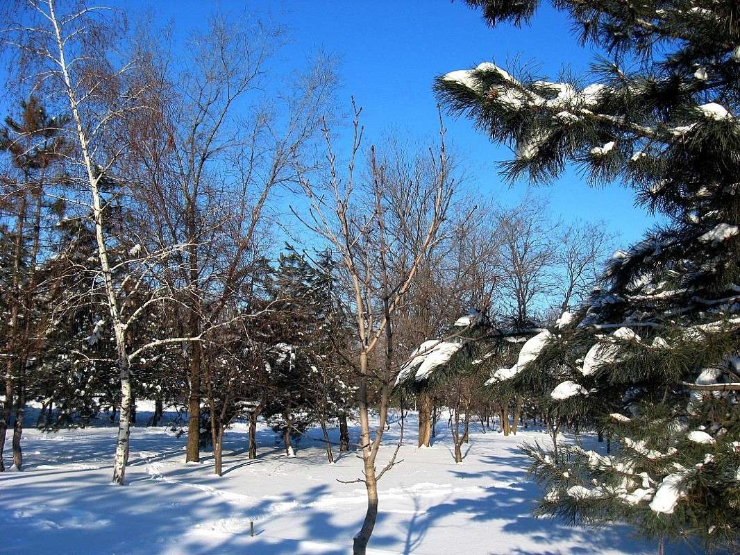 ��� �� ��� - ����� � 