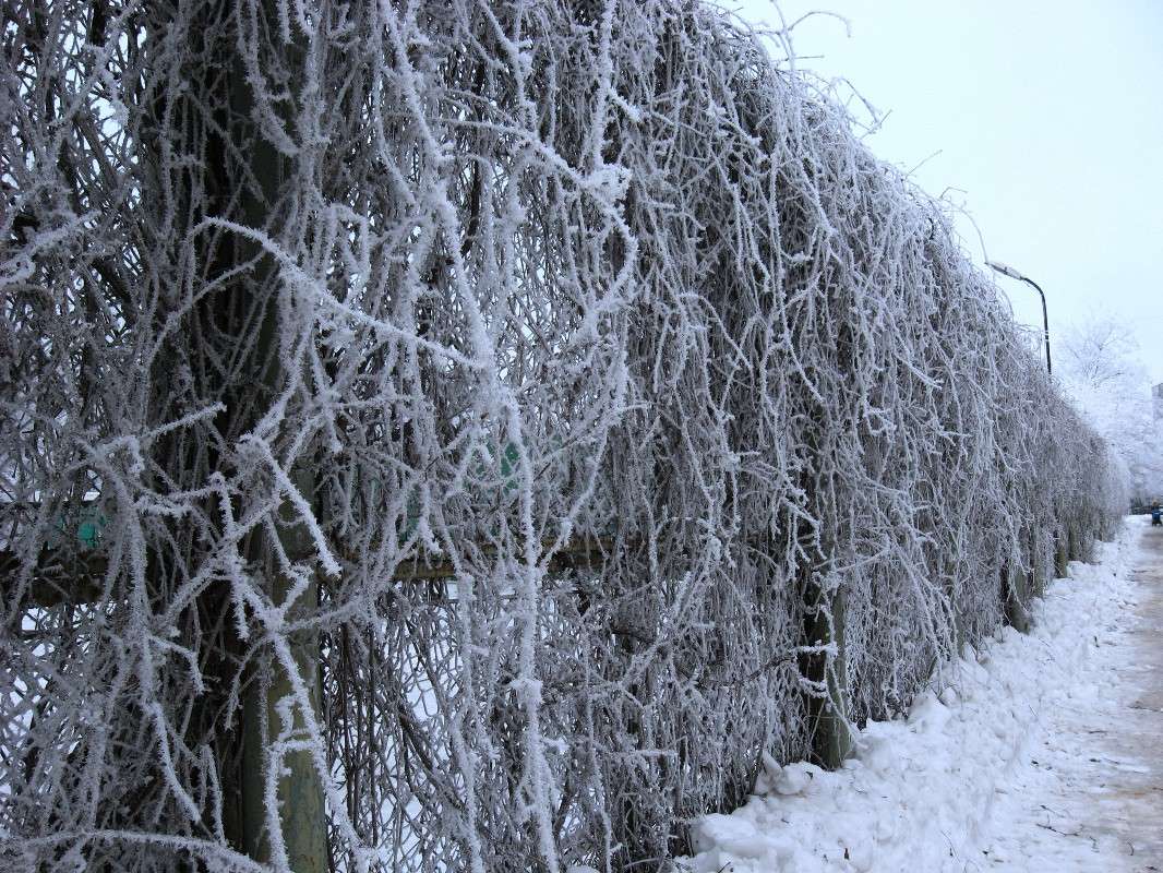 ���� ������... ) ����� Natali  ��������� �� PhotoGeek.ru #������ ��� ������� #����� ��������������