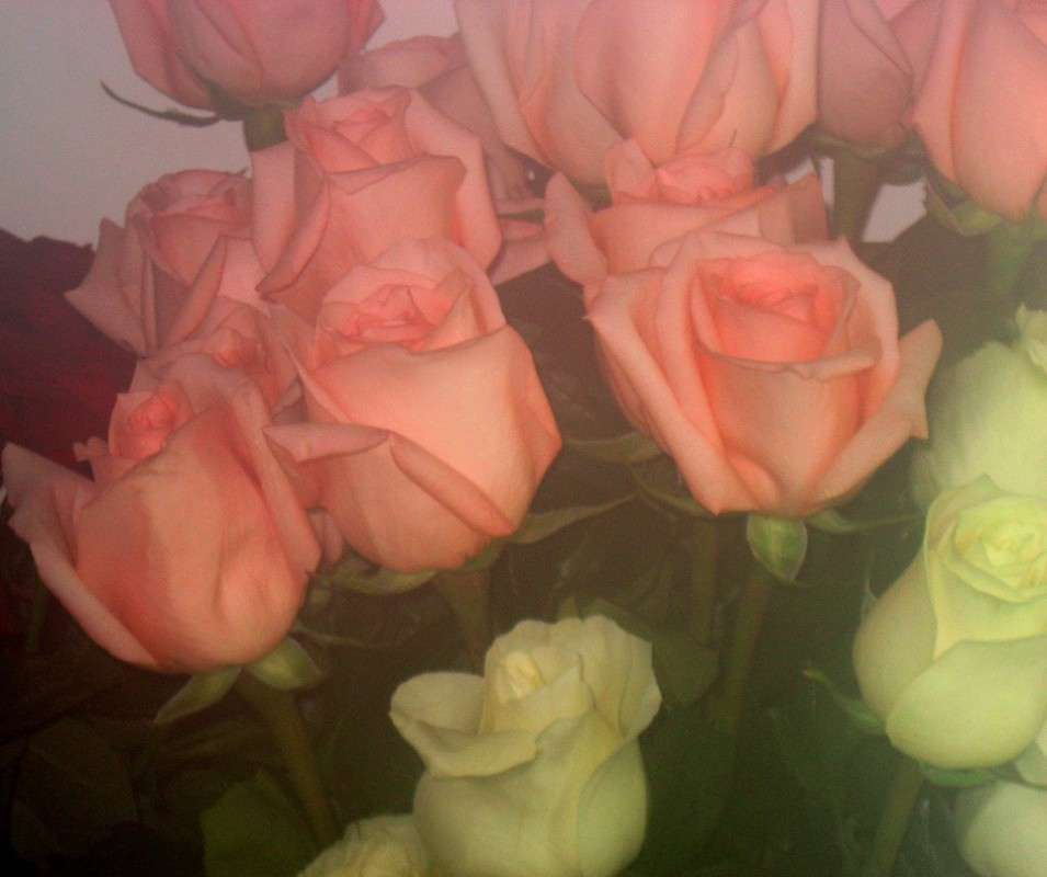 ... ����� Natali  ��������� �� PhotoGeek.ru #������ ��� ������� #����� ��������������