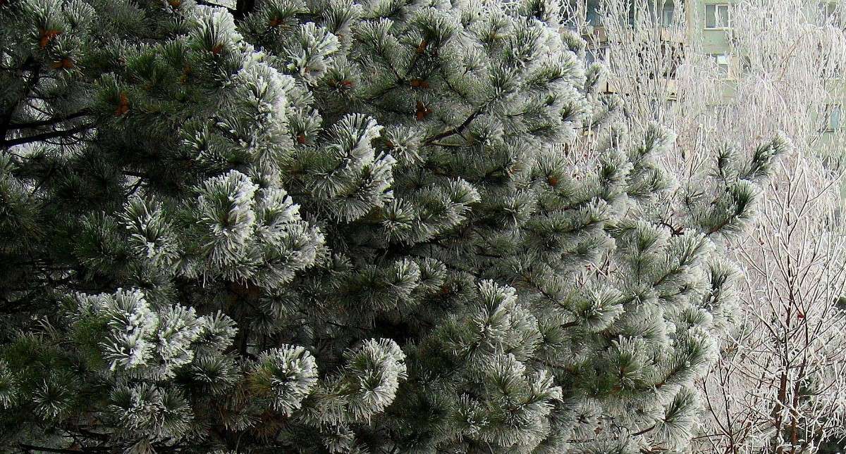 ����.. ����� Natali  ��������� �� PhotoGeek.ru #������ ��� ������� #����� ��������������