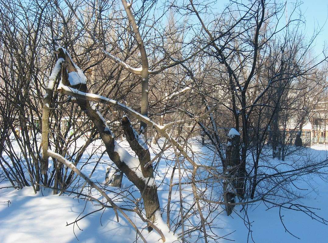 ��������� ���������....) ����� Natali  ��������� �� PhotoGeek.ru #������ ��� ������� #����� ��������������