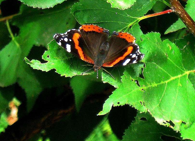 ���, � ��������..... ����� Natali  ��������� �� PhotoGeek.ru #�������� ��� #������ ��� ������� #����� ��������������