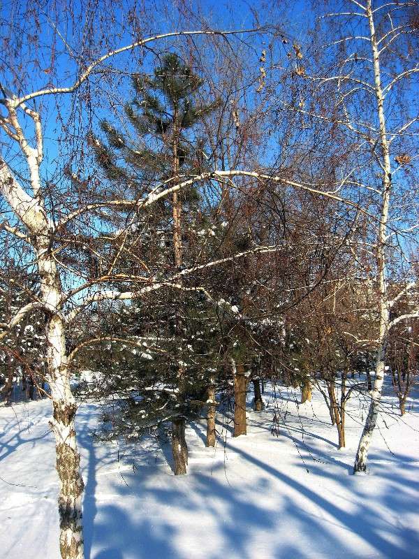 �������� �� �����......) ����� Natali  ��������� �� PhotoGeek.ru #������ ��� ������� #����� ��������������