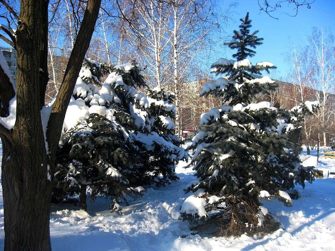 ... ����� Natali  ��������� �� PhotoGeek.ru #����� #������ ��� ������� #��������� ������ #����� ��������������