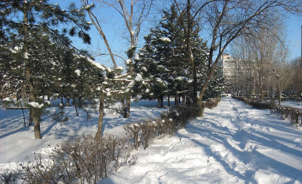 ... ����� Natali  ��������� �� PhotoGeek.ru #������ ��� ������� #����� ��������������