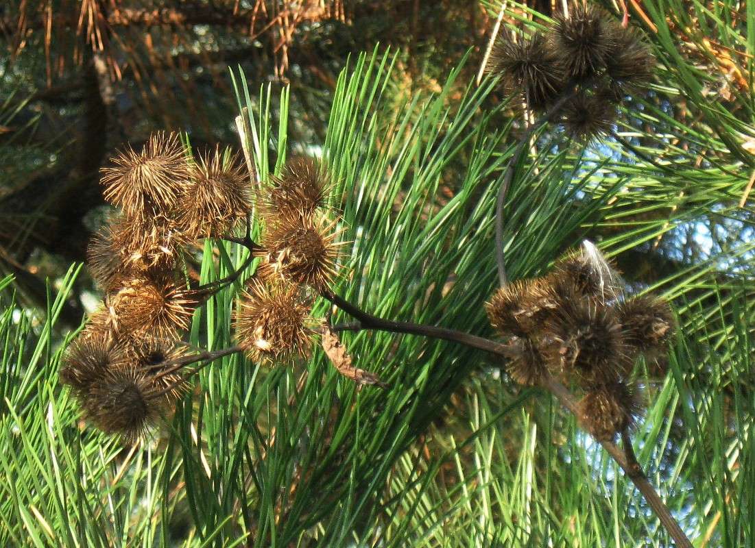 ��� ������... ����� Natali  ��������� �� PhotoGeek.ru #������ ��� ������� #����� ��������������