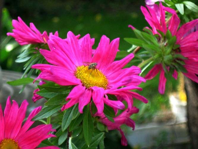 ��� � ��������.....2 ����� Natali  ��������� �� PhotoGeek.ru #�������� ��� #������ ��� ������� #����� ��������������